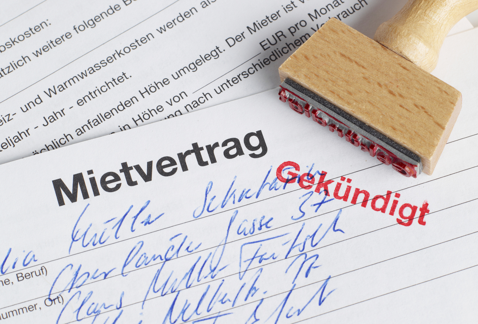 Rechtsgebiete Mietrecht Leipzig RAZENG Rechtsanwälte